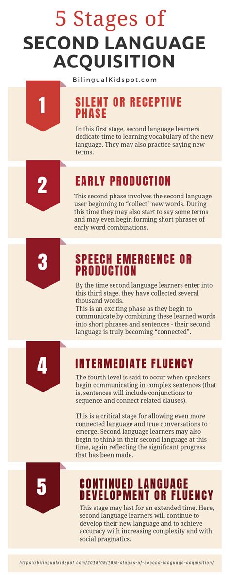 5 Stages of second language acquisition infographic - Bilingual Kidspot