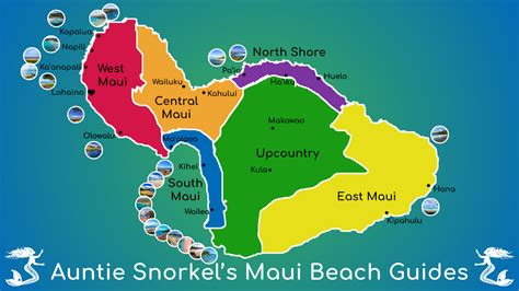 Maui Beach Guides by Auntie Snorkel - Auntie Snorkel