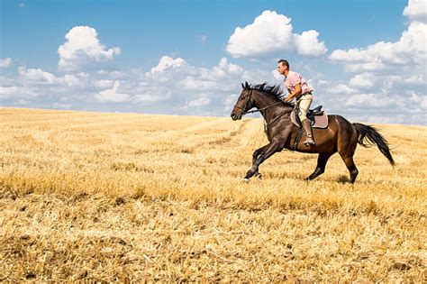 Man Riding Horse Stock Photos, Pictures & Royalty-Free Images - iStock