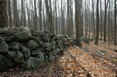 Connecticut’s Stone Walls – History in Your Backyard – The Round Table