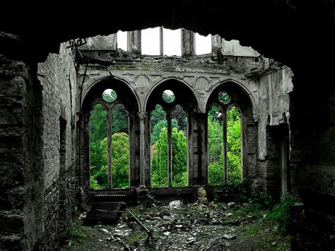 Forest Ruins [1024 x 768] : r/AbandonedPorn