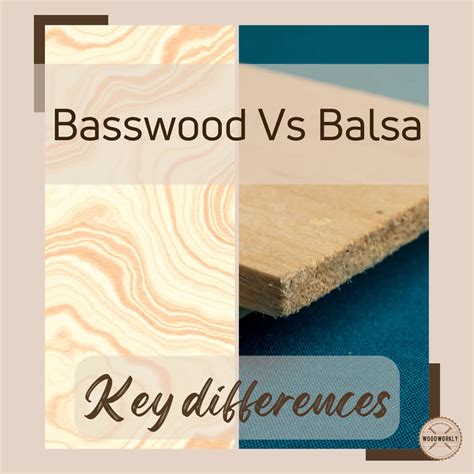 Basswood vs Balsa: Which Is Better? (2024 Ultimate Guide!)