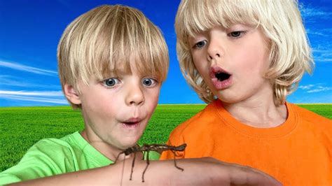 STICKY THE TALKING STICK INSECT AND SKY AND FINN | Talking Animals Kids Pets - YouTube