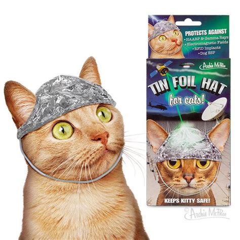 Tin foil hats for humans and cats | Boing Boing