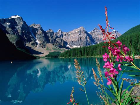 Western Cordillera - Canadian Landform Region's