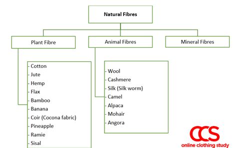 20 Natural Fibres- Which Tops the List? | LaptrinhX / News