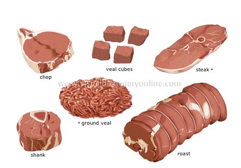 FOOD & KITCHEN :: FOOD :: MEAT :: CUTS OF VEAL image - Visual ...