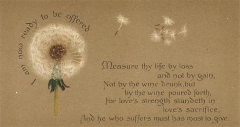 dandelion - Lilias Trotter