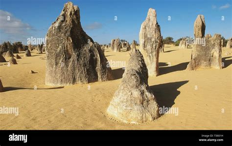 morning view of the pinnacles in western australia Stock Photo - Alamy