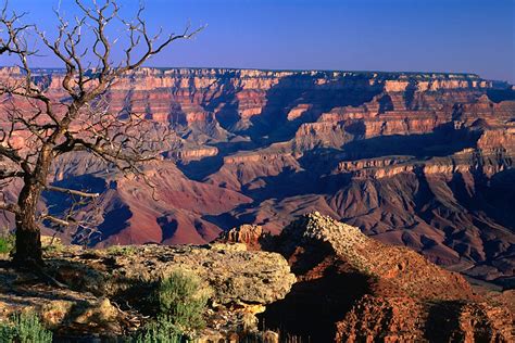 Grand Canyon National Park travel | Arizona, The USA, North America ...