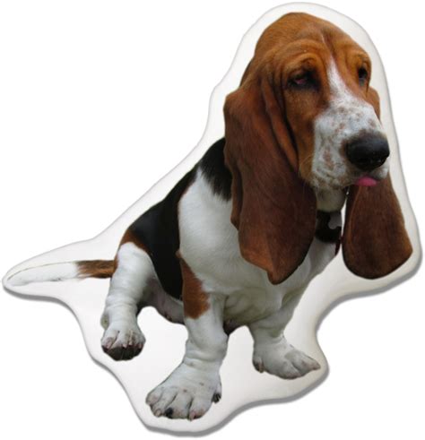 Basset Hound PNG Images Transparent Background | PNG Play