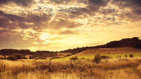 Golden sunset in the countryside [Wallpaper] | dotTech