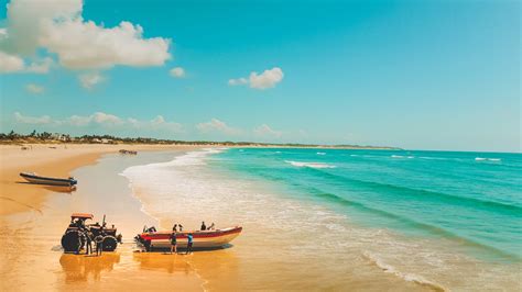 10 THINGS TO DO BY LAND & SEA IN TOFO BEACH ~ MOZAMBIQUE - Mar Gone Wild