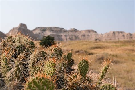 A Complete Guide to Hiking the Castle Trail in Badlands National Park