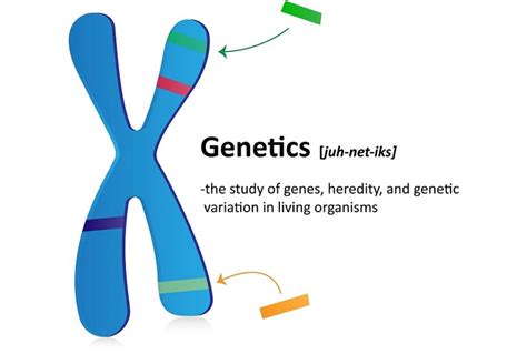 How Are Traits Inherited? Educational Resources K12 Learning, Life Science, Science Lesson Plans ...