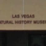 Las Vegas Natural History Museum in Las Vegas, NV (Google Maps)