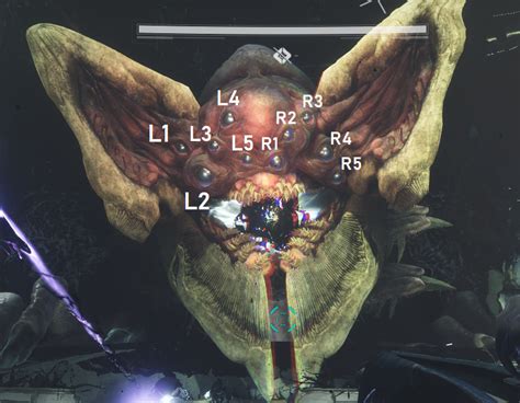 How To Beat Last Wish Raid Destiny 2 Sale | cdlguaiba.com.br