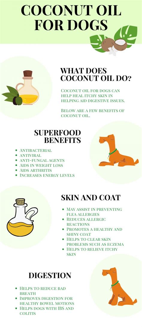 How To Use Coconut Oil For Dogs Itchy Skin