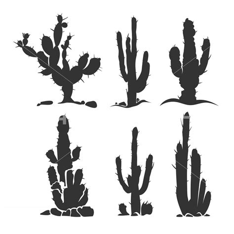 Cactus Silhouette Vector at Vectorified.com | Collection of Cactus ...