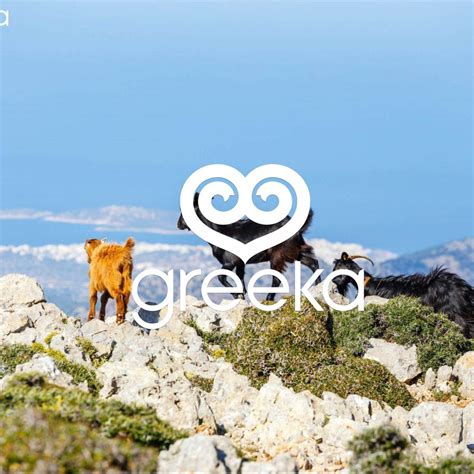 Fauna in Greece: Birds, wild and domestic animals | Greeka