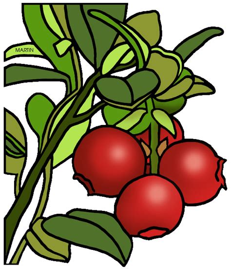 Cranberry clipart - Clipground