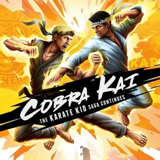 Cobra Kai: The Karate Kid Saga Continues - Wikiwand