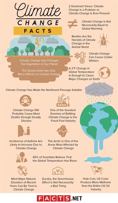 16 Climate Change Facts: Causes, Solutions & More - Facts.net