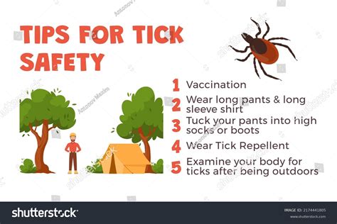 Ticks Safety Tips Mite Bites Prevention Stock Vector (Royalty Free ...