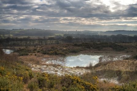 Meeth Quarry | Devon Wildlife Trust