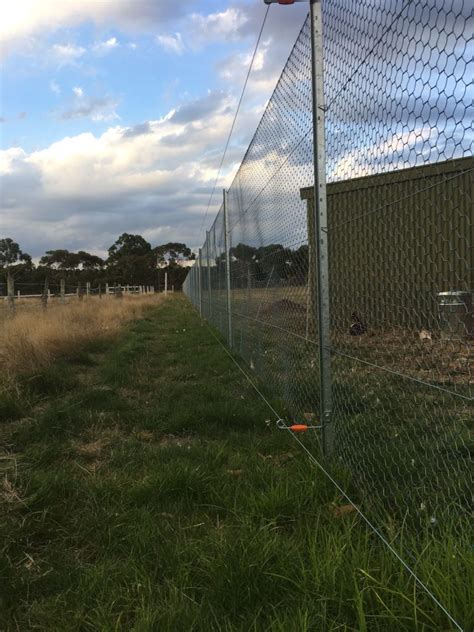 Our new fox proof fence! - Heritage Farm