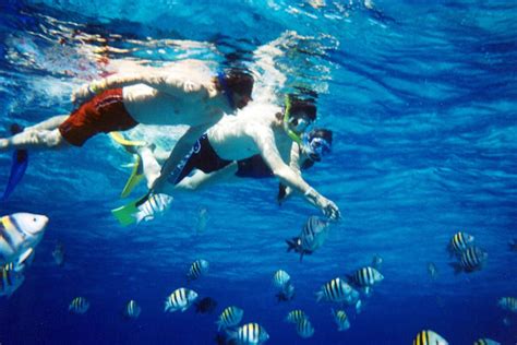 Snorkeling In Unawatuna | Coral Reefs In Sri Lanka