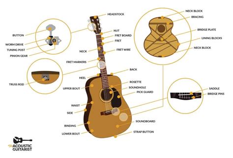 Anatomy Of An Acoustic Guitar [The Complete Guide]