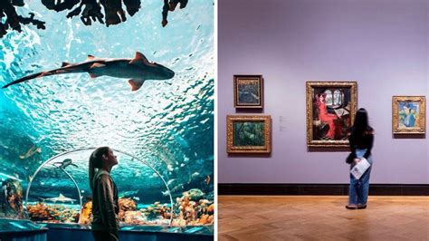 7 Tourist Attractions In Toronto That Are Actually Worth Visiting ...