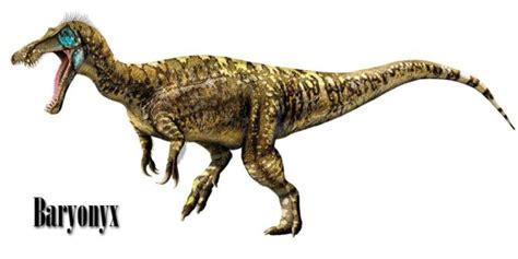 Baryonyx | DinoAnimals.com