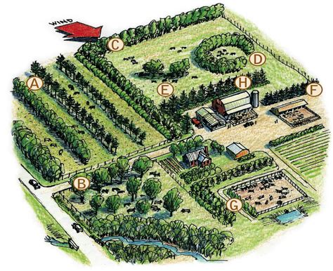 Working Trees for Livestock, USDA report, 2013. | Farm layout, Farm design, Farm plans