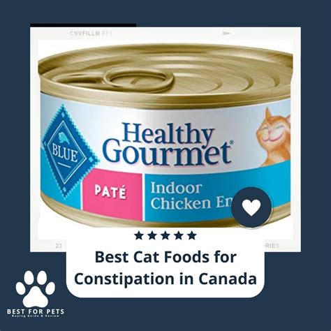 15 Best Cat Foods for Constipation in Canada in 2022