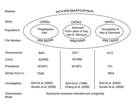 Achromatopsia and the underlying bioelectrochemistry