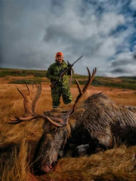 Newfoundland Moose Hunting - Deep Valley Outfitters