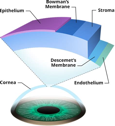 eyecing on the cake: recurrent corneal erosion