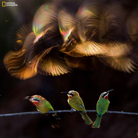 National Geographic Photo Contest 2015: Dramatic Colorado tornado wins grand prize