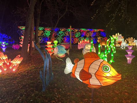 2023-2024 NYC Winter Lantern Festival: Enchanting glow of 1K lanterns ...