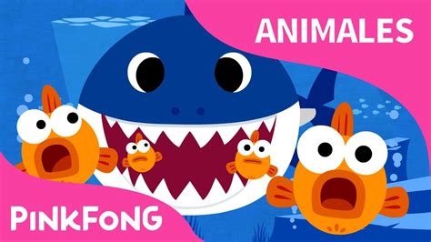 Tiburón Bebé | Animales | PINKFONG Canciones Infantiles | Baby shark song