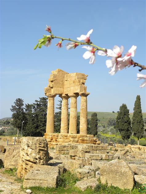 Temple of Castor and Pollux | Greece, Agrigento, Archaeological site