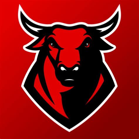 Chicago Bulls identity concept on Behance | Bull logo, Logo design ...