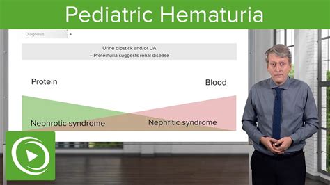 Pediatric Hematuria (Blood in Urine) – Pediatrics | Lecturio - YouTube