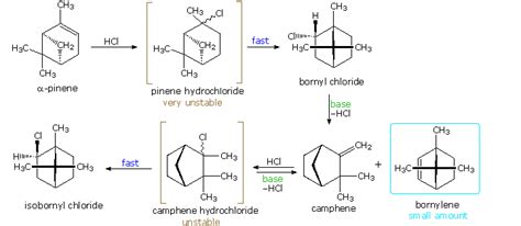 30.1: Wagner-Meerwein Rearrangements - Chemistry LibreTexts