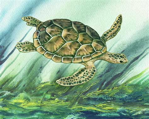 Swimming Free Giant Sea Turtle Watercolor Painting by Irina Sztukowski