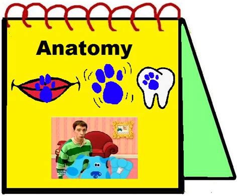 Clues from Anatomy | Childhood pictures, Blue’s clues, Blues clues