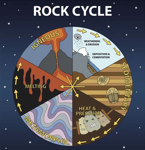 Rock Cycle Diagram | Earth and space science, Earth science, Science ...