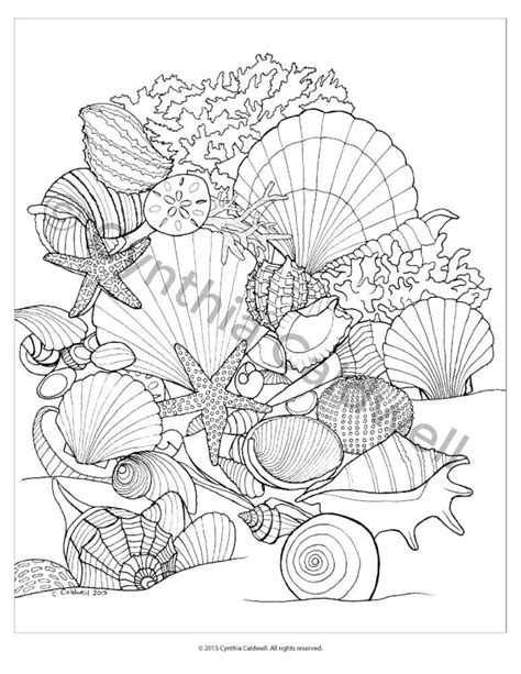 Seashells Coloring Page Instant Download - Etsy